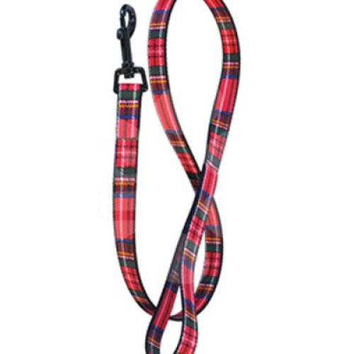 Dog Leads